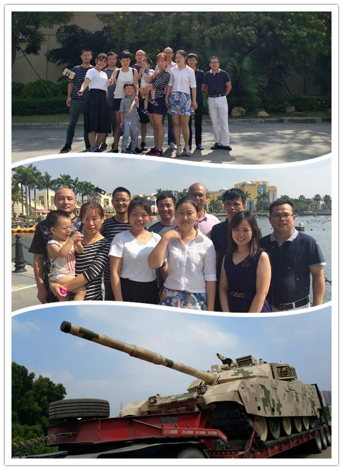 深圳市鼎準電子有限公司